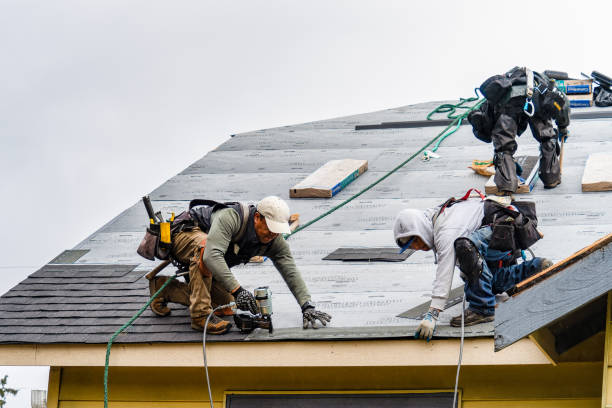 Professional Roofing technician working in Mears, VA